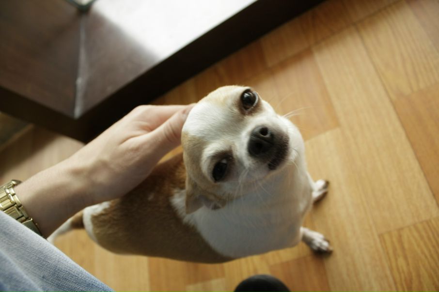 Сергей Микитенко фото №33