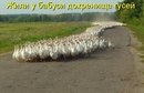 Олексій Березюк фотография #5 (источник - https://vk.com/id159504885)