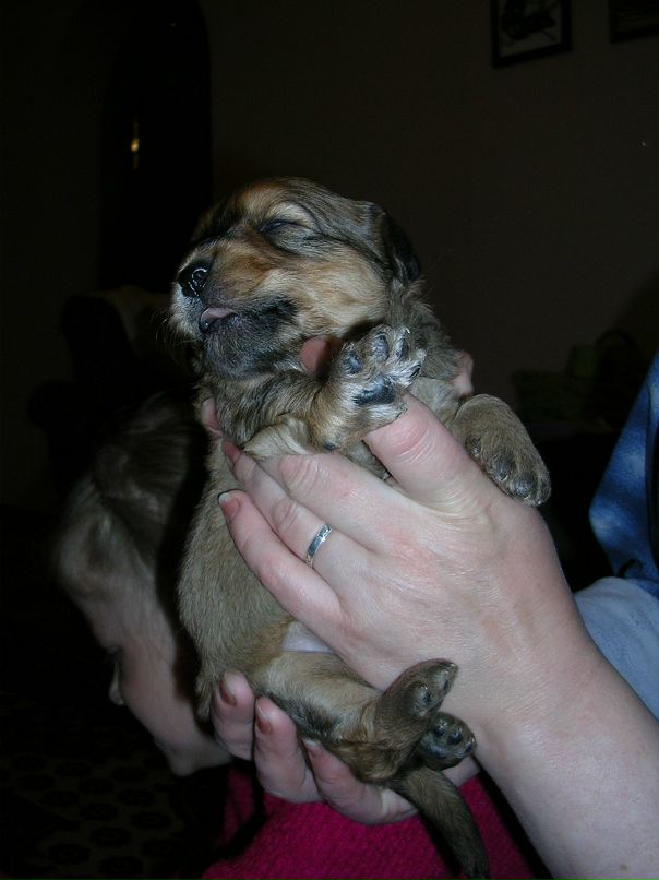 Дмитрий Бурлаков фотография #26