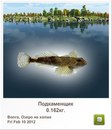 Людмила Бабікова фотография #49 (источник - https://vk.com/id155289329)