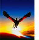 Андрій Кравець фотография #8 (источник - https://vk.com/id66639724)