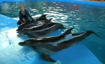 Фотография Михалкиной Евгении