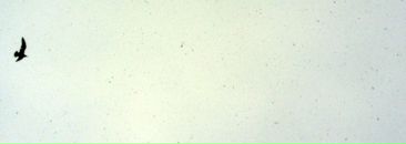 Фотография Хворовой Ирины