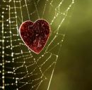 Юлічка Пасічник фотография #45 (источник - https://vk.com/id122087232)