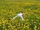 Фотография Попова Игоря