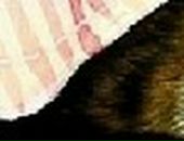 Іра Данильчук фотография #42 (источник - https://vk.com/id135059633)