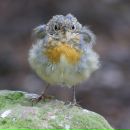 Фотография Дурневой Дарьи