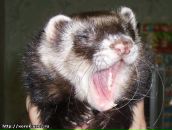 Фотография Найденовой Юлии