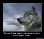 Тетяна Алєксандрова фотография #48 (источник - https://vk.com/id10524297)