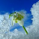 Вікуся Богуш фотография #27 (источник - https://vk.com/id59127047)