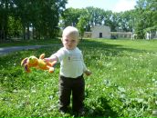 Фотография  