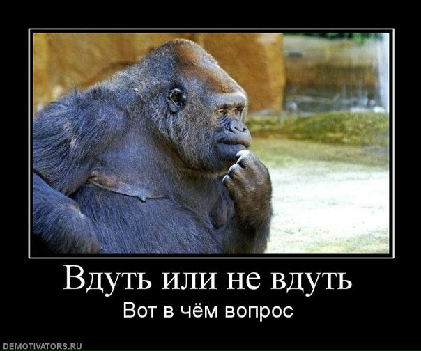 Александр Пенчук фото №26