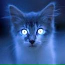 Фотография Дараевой Евгении