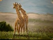 Фотография Мясоедовой Надин