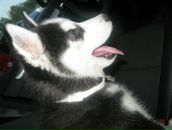 Фотография Астафьевой Рины