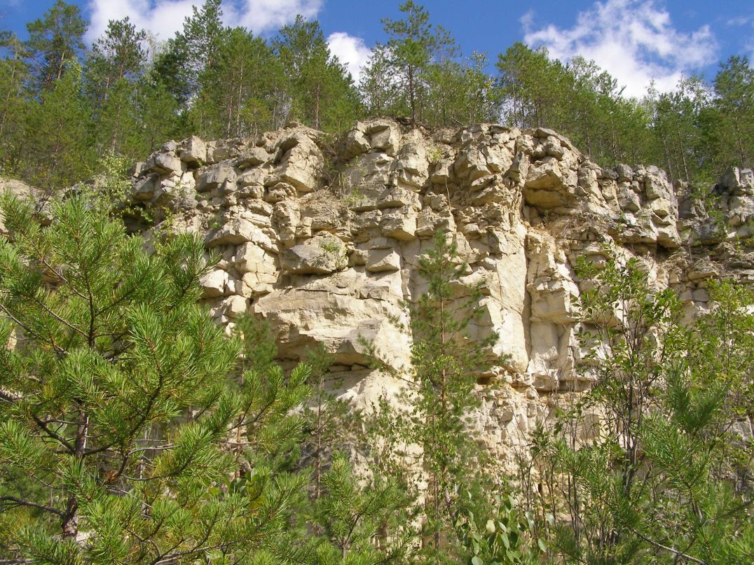 Владимир Плотников фотография #28