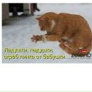 Марсель Ахмадиев фотография #10 (источник - https://vk.com/id132322157)