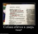 Ромиии Шех фотография #3 (источник - https://vk.com/id703762)