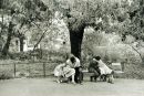 Анастасія Лісова фотография #43 (источник - https://vk.com/id2996269)