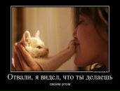 Бодя Тимошів фотография #30 (источник - https://vk.com/id35995248)