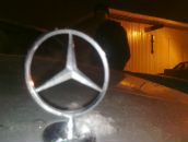 Фотография Ситника Димы