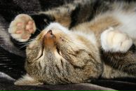 Фотография Лесковой Марии