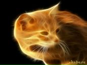 Фотография Грознецкого Александра