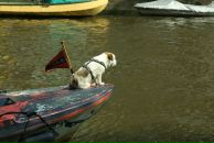 Дмитрий Коваленко фотография #8 (источник - https://vk.com/id1485373)